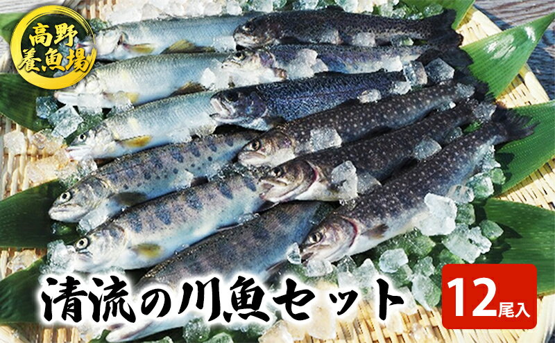 【ふるさと納税】清流の川魚 セット 12尾入 （ヤマメ・イワナ・ニジマス・アユ） （ 魚 12尾 ヤマメ イワナ ニジマス アユ セット 山女 岩魚 虹ます にじます 虹鱒 鮎 マス ます 鱒 魚 川魚 小分け 海鮮 魚介 魚介類 海鮮セット 魚沼 ）　【 魚沼市 2023年人気返礼品 】