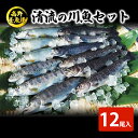 【ふるさと納税】清流の川魚セット12尾入（ヤマメ・イワナ・ニジマス・アユ）　【鮎・アユ・魚貝類・川魚】