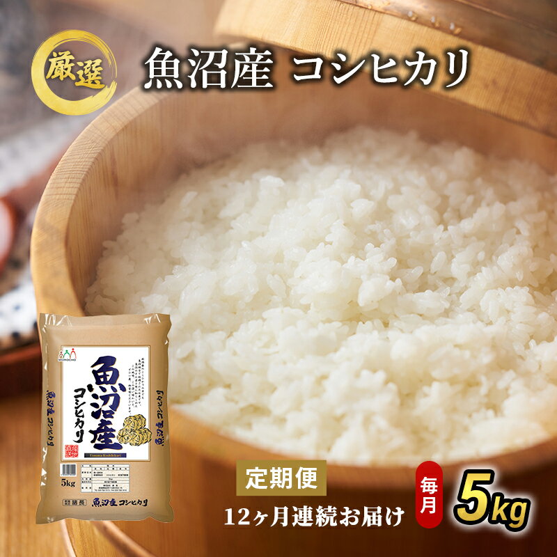 【ふるさと納税】魚沼産 コシヒカリ 5kg 12ヶ月 連続お届け ( 米 定期便 お米 こめ コメ おこめ 白米 こしひかり 12回 60kg お楽しみ )　定期便・お米・コシヒカリ・お米　お届け：寄附入金月の翌月より発送のサムネイル