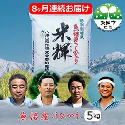 36位! 口コミ数「0件」評価「0」新潟県認証【特別栽培米】魚沼産こしひかり　5kg　8ヶ月連続お届け　【定期便・お米・コシヒカリ】