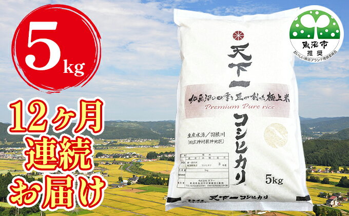 【ふるさと納税】定期便 魚沼産 天下一コシヒカリ 5kg 全12回 ( 米 お米 こめ コメ おこめ 白米 こしひかり 12か月 60kg お楽しみ )　【定期便・ 新潟県 魚沼市 】