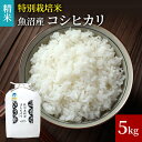 9位! 口コミ数「0件」評価「0」[令和5年産]米農家自慢の 特別栽培米 魚沼産 コシヒカリ（精米）5kg×1袋　【お米・コシヒカリ】