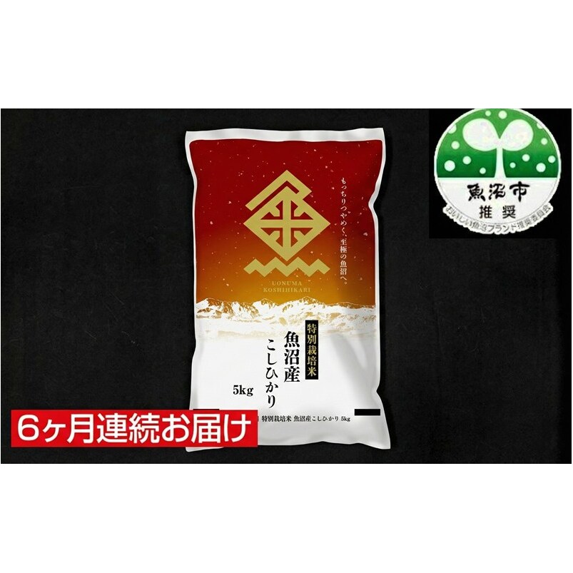 【特別栽培米】魚沼産コシヒカリ（精米）5kg 6ヶ月連続お届け お届け：寄附入金確認後の翌月より発送