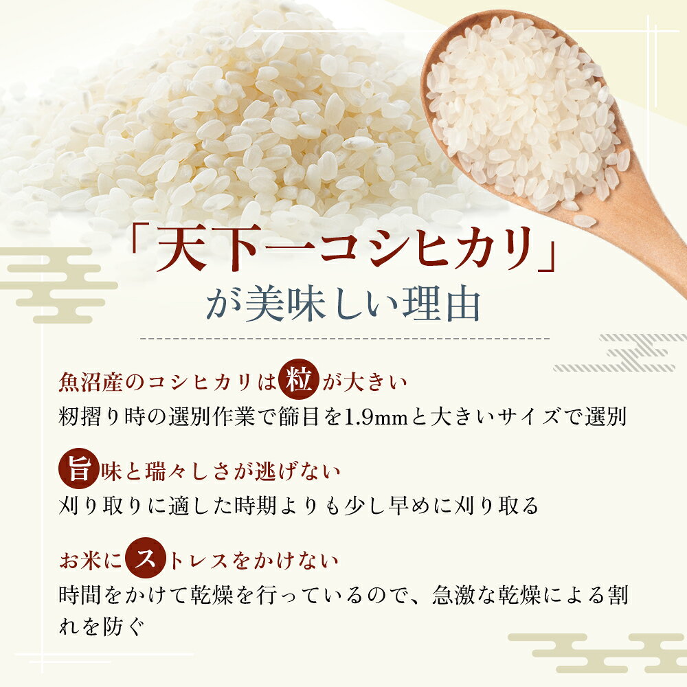 【ふるさと納税】令和7年産 魚沼 天下一コシヒカリ（商標） 3kg 本当に旨い飯に おかずはいらない 魚沼産 コシヒカリ ( 米 お米 こめ コメ おこめ 白米 こしひかり ) 新潟県 　お届け：寄附入金確認後、約2週間～1ヶ月ほどでお届け f152251-uonumashi-10000187 新潟県魚沼市 ふるさと納税 サンプル画像3