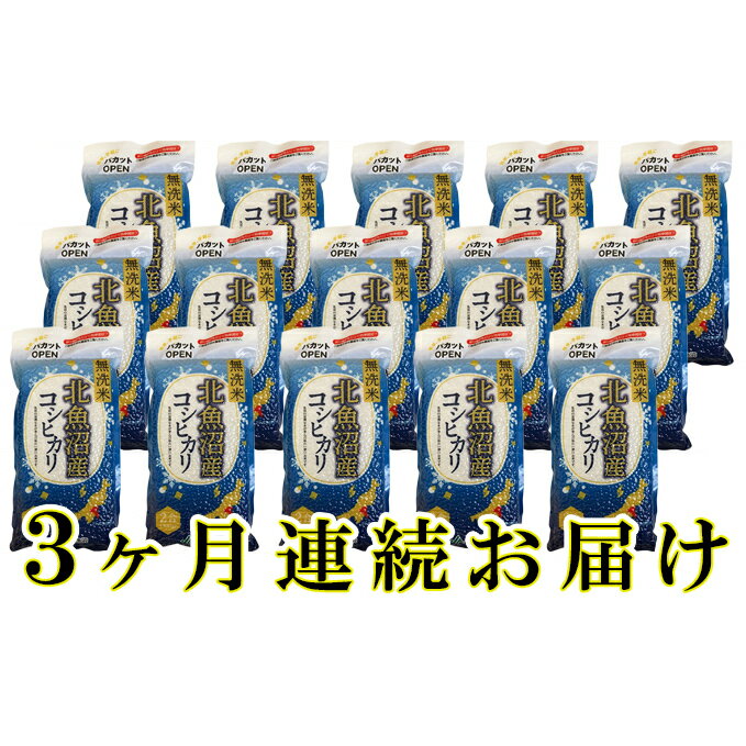 北魚沼産コシヒカリ真空パック(無洗米)300g×15袋 3ヶ月連続お届け [定期便・お米・コシヒカリ]