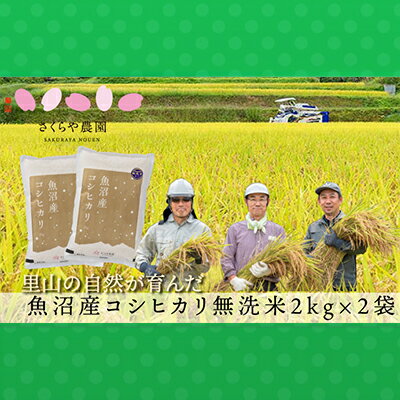 【ふるさと納税】 令和8年産 さくらや農園 魚沼産コシヒカリ 無洗米2kg×2 お米 　お届け：寄附入金確認後、約2週間～1ヶ月ほどでお届けとなります