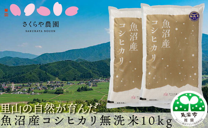 【ふるさと納税】 【令和5年産】さくらや農園 魚沼産コシヒカリ 無洗米10kg（5kg×2袋）　【お米・コシヒカリ】