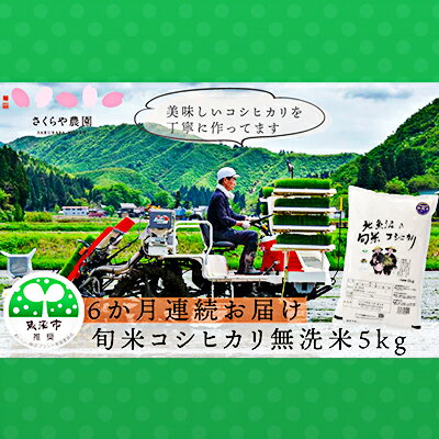 51位! 口コミ数「0件」評価「0」【定期便】魚沼産コシヒカリ 北魚沼の旬米コシヒカリ 無洗米5kg　6ヶ月連続お届　【定期便・お米・コシヒカリ】