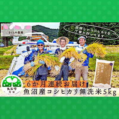【ふるさと納税】【定期便】さくらや農園 魚沼産コシヒカリ 無洗米5kg 6ヶ月連続お届け お米 　お届け：寄附入金確認後の翌月より発送