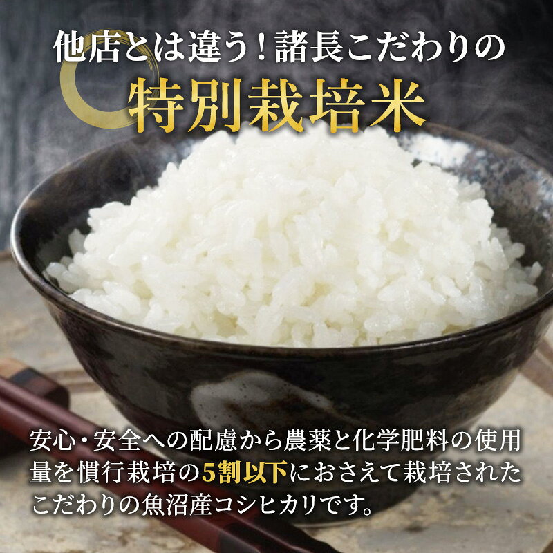 【ふるさと納税】【特別栽培米】お米アドバイザー厳選 魚沼産コシヒカリ（精米）5k...
