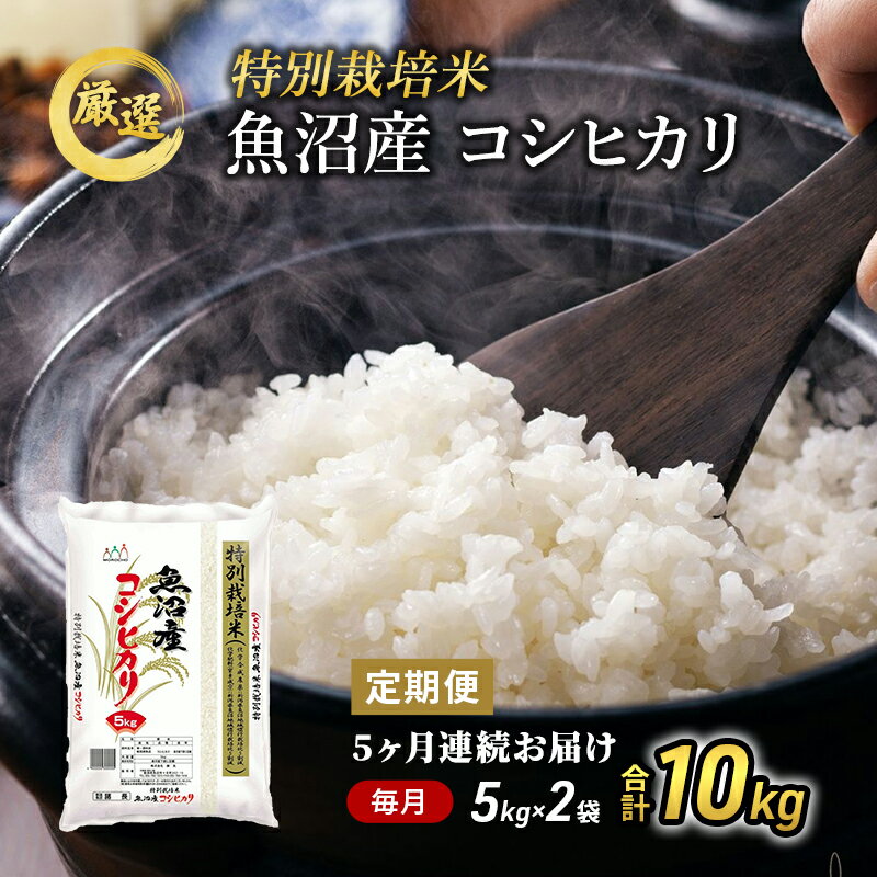 【ふるさと納税】【特別栽培米】お米アドバイザー厳選　魚沼産コシヒカリ（精米）10kg（5kg×2）5ヶ月連続　【定期便・お米・コシヒカリ】のサムネイル