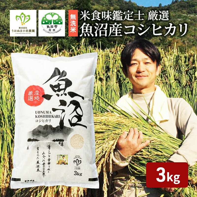 令和5年産 無洗米 米食味鑑定士 厳選 魚沼産 コシヒカリ 3kg （ 米 こしひかり お米 新潟 魚沼 魚沼産コシヒカリ 魚沼産こしひかり こめ 米3kg ）　　お届け：発送の目安：入金確認から2週間程度