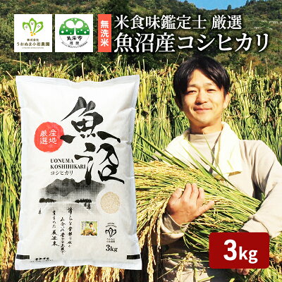 楽天ふるさと納税　【ふるさと納税】令和5年産 無洗米 米食味鑑定士 厳選 魚沼産 コシヒカリ 3kg （ 米 こしひかり お米 新潟 魚沼 魚沼産コシヒカリ 魚沼産こしひかり こめ 米3kg ）　【 新潟県 魚沼市 】　お届け：発送の目安：入金確認から2週間程度