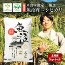 8位! 口コミ数「0件」評価「0」無洗米 米食味鑑定士 厳選 魚沼産 コシヒカリ 5kg 6ヶ月 連続お届け （ 米 定期便 こしひかり 定期 お米 新潟 魚沼 魚沼産コシヒ･･･ 