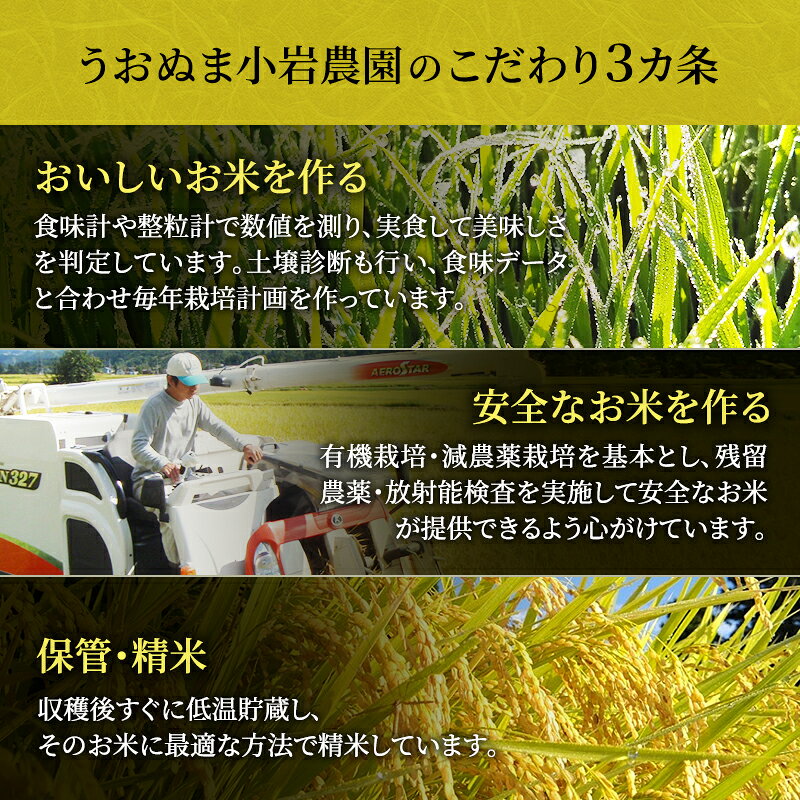 【ふるさと納税】無洗米 定期便 6ヶ月 コシヒカリ 5kg 米 白米 お米 魚沼産コシヒ...
