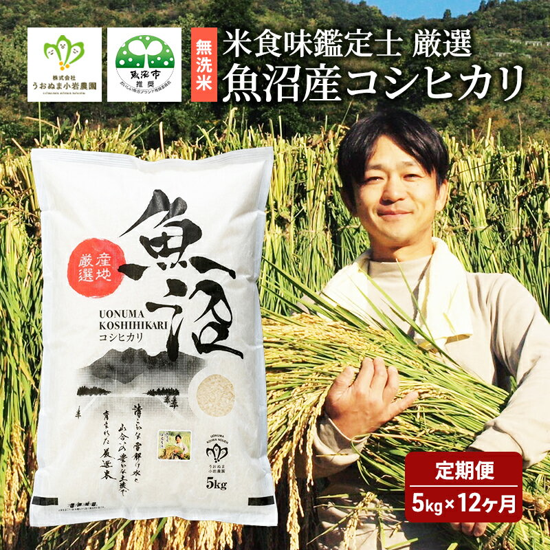【ふるさと納税】頒布 無洗米 米食味鑑定士 厳選 魚沼産 コシヒカリ 5kg 12ヶ月 連続お届け ( 米 定期便 お米 こめ コメ おこめ 白米 こしひかり 12回 60kg お楽しみ ) 新潟県 　お届け：寄附入金月の翌月より発送