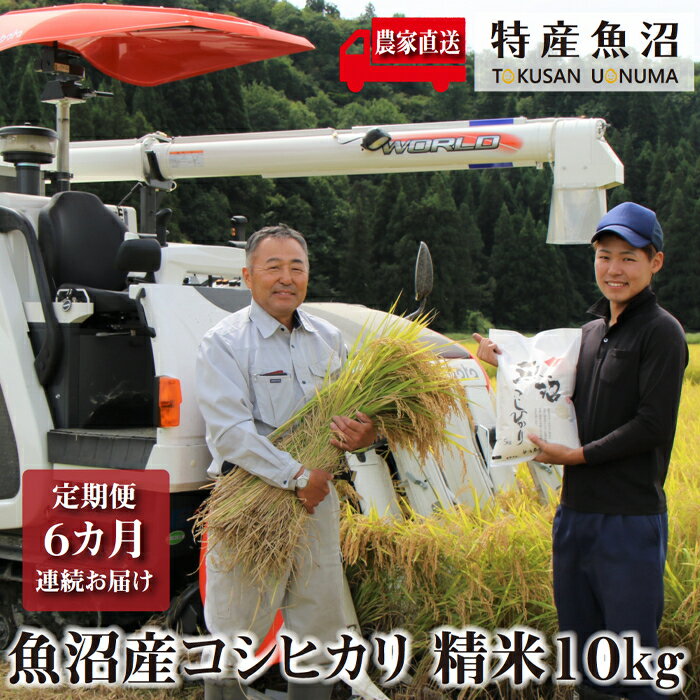 【ふるさと納税】農家直送！ 魚沼産 コシヒカリ 精米 10kg （ 5kg × 2袋 ） 6ヶ月 連続お届け（ 米 定期便 6か月 こしひかり お米 こめ コメ 魚沼産コシヒカリ 魚沼産こしひかり おこめ 白米 魚沼 新潟 定期 お楽しみ 6回 ）　お届け：寄附入金確認後の翌月より発送