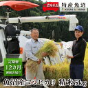 【ふるさと納税】農家直送! 魚沼産 コシヒカリ 精米 5kg 12ヶ月 連続お届け( 米 定期便 魚沼産コシヒカリ こしひかり お米 こめ コメ 魚沼産コシヒカリ 魚沼 新潟 魚沼産こしひかり おこめ 白米 定期 お楽しみ 12回 ) お届け:寄附入金月の翌月から発送