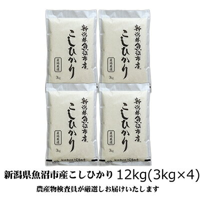 【令和5年産】農産物検査員お奨め 魚沼産こしひかり（精米）12kg（3kg×4）　【お米・コシヒカリ】