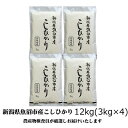 【ふるさと納税】【令和5年産】農産物検査員お奨め 魚沼産こしひかり（精米）12kg（3kg×4）　【お米・コシヒカリ】