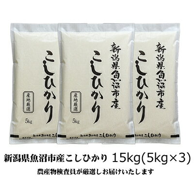 【令和5年産】農産物検査員お奨め 魚沼産こしひかり（精米）15kg（5kg×3）　【お米・コシヒカリ】