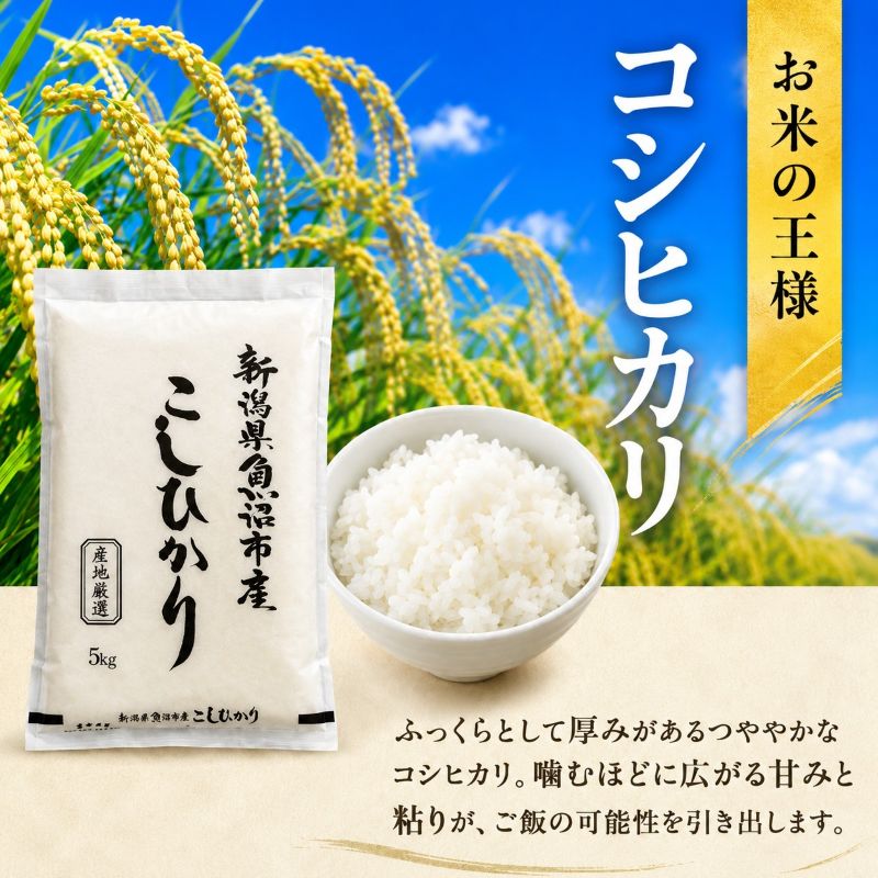 【ふるさと納税】令和7年産 農産物検査員お奨め 魚沼産こしひかり（精米）15kg（5kg×3） お米 コシヒカリ 　お届け：寄附入金確認後、約2週間～1ヶ月ほどでお届け f152251-uonumashi-10000350 新潟県魚沼市 ふるさと納税 サンプル画像3