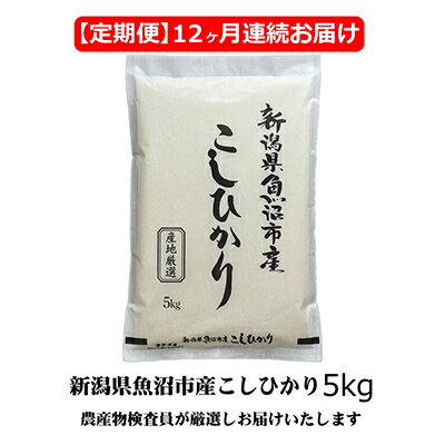 農産物検査員お奨め 魚沼産 こしひかり 精米 5kg 12ヶ月 連続お届け ( 米 定期便 コシヒカリ お米 定期 新潟 魚沼 魚沼産コシヒカリ 魚沼産こしひかり こめ コメ おこめ 白米 お楽しみ 12回 ) [定期便・ 新潟県 魚沼市 ]