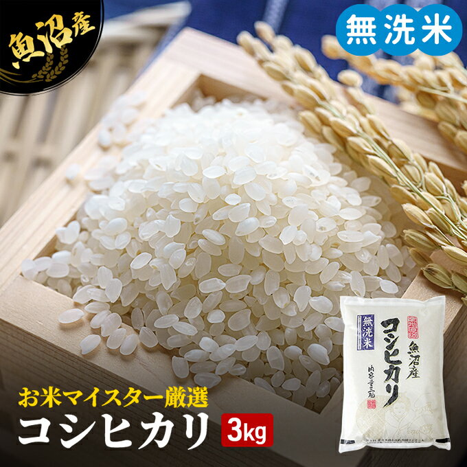 【ふるさと納税】令和5年産 無洗米 お米マイスター厳選 魚沼産 コシヒカリ 100％ 3kg ( 米 お米 こめ コメ おこめ 白米 こしひかり )　【 新潟県 魚沼市 】　お届け：発送の目安：入金確認から2週間程度