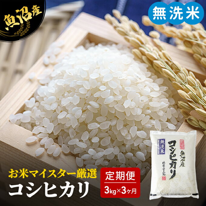 11周年記念イベントが 甲良米 特別栽培コシヒカリ 無洗米 5kg 10ヶ月連続