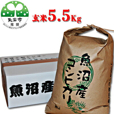 【ふるさと納税】【令和5年産】【有機栽培・生態系保全・再生可能エネルギー・エコファーマー・生産工程管理】魚沼産コシヒカリ（玄米・5.5kg）　【お米・コシヒカリ・玄米・お米】･･･