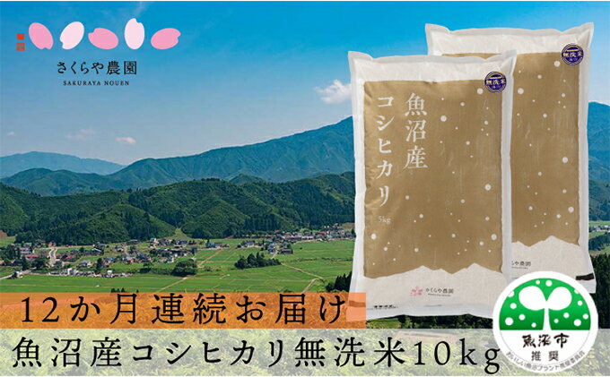 【ふるさと納税】【定期便】さくらや農園 魚沼産コシヒカリ 無洗米10kg（5kg×2）12か月連続お届け　【定期便・お米・コシヒカリ・米・無洗米】