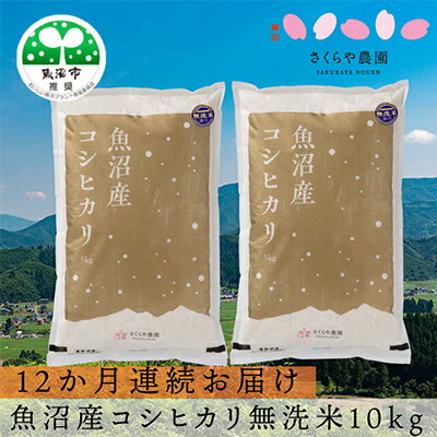 4位! 口コミ数「0件」評価「0」【定期便】さくらや農園 魚沼産コシヒカリ 無洗米10kg（5kg×2）12か月連続お届け　【定期便・お米・コシヒカリ・米・無洗米】