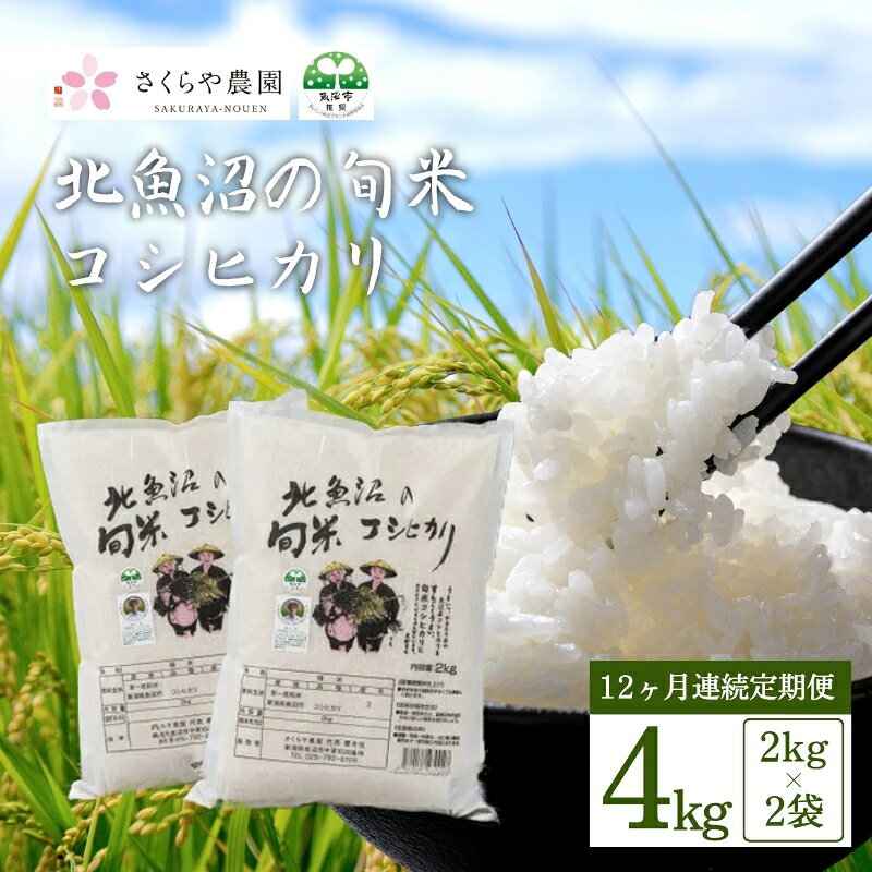 【ふるさと納税】【定期便】北魚沼の旬米コシヒカリ（精米）4kg（2kg×2袋）12か月連続お届け お米 　お届け：寄附入金確認後の翌月より発送