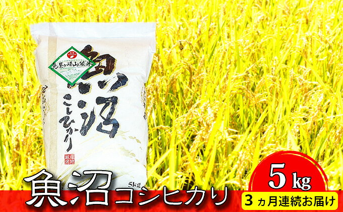 【ふるさと納税】魚沼コシヒカリ　鳥屋ヶ峰山麓米（精米）5kg　3ヶ月連続お届け　【定期便・お米・コシヒカリ・新潟県産】