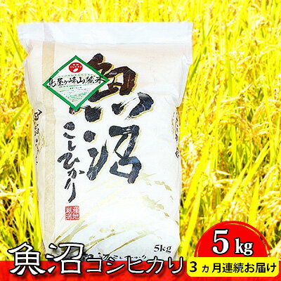 【ふるさと納税】魚沼コシヒカリ　鳥屋ヶ峰山麓米（精米）5kg　3ヶ月連続お届け　【定期便・お米・コシヒカリ・新潟県産】