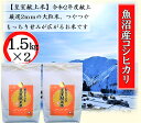 25位! 口コミ数「0件」評価「0」【令和5年産】皇室献上米 令和2年度献上！厳選2mmの大粒米です！精米 3kg（1.5kg×2）　【お米・コシヒカリ・新潟県産】