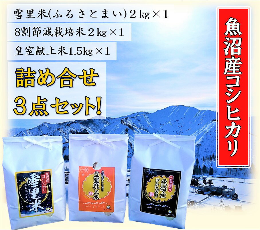 【令和5年産】サンライス魚沼のお米 詰め合わせセット 精米（2kg×2・1.5kg×1）　【お米・コシヒカリ・新潟県産】