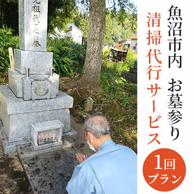 【ふるさと納税】お墓参り・清掃代行サービス1回プラン（実施期間：5月～10月）　【チケット・お墓参...