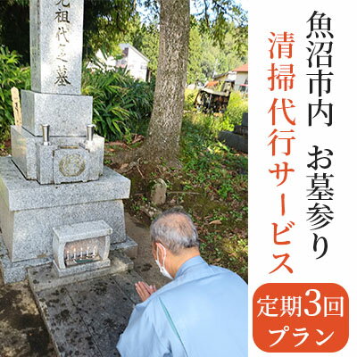 お墓参り・清掃代行サービス定期3回プラン(実施期間:5月〜10月) [チケット・お墓参り・清掃代行サービス]