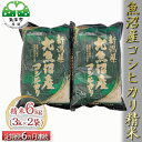 23位! 口コミ数「0件」評価「0」魚沼産コシヒカリ 精米 6kg（3kg×2袋） 6ヶ月連続お届け　【定期便・お米・コシヒカリ・新潟県産・定期便】