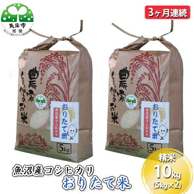 【定期便】魚沼産コシヒカリ おりたて米 精米10kg（5kg×2）3ヶ月連続　【定期便・お米・コシヒカリ・魚沼産・3カ月・3回・米】