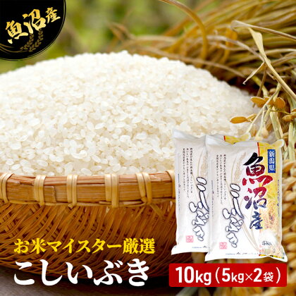 令和5年産 お米マイスター厳選 魚沼産 こしいぶき 100％ 10kg ( 5kg × 2袋 )（ 米 魚沼 新潟 お米 こめ コメ おこめ 白米 良食味品種 安心安全 10キロ ）　【 新潟県 魚沼市 】　お届け：発送の目安：入金確認から2週間程度