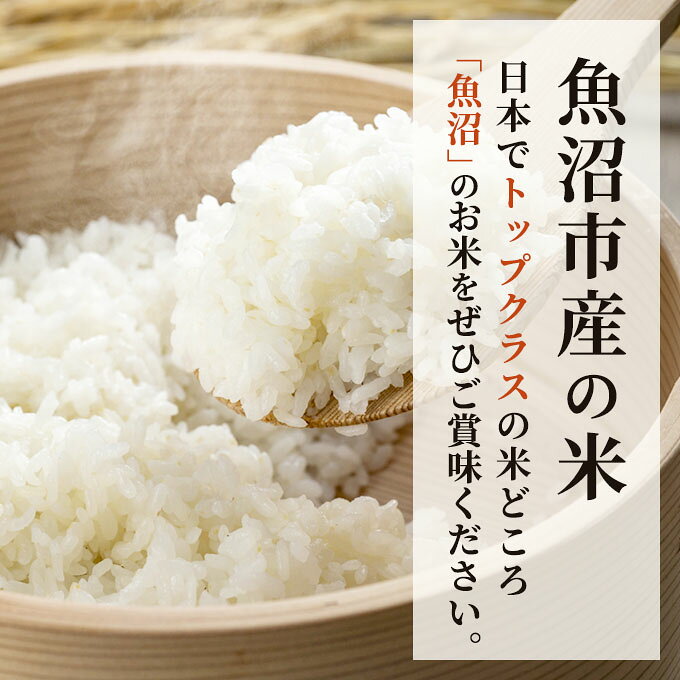 【新潟県魚沼市】こしいぶき 米 お米 魚沼産 新潟 魚沼 10kg　【ふるさと納税】令和7年産 お米マイスター厳選 魚沼産 こしいぶき 100％ 10kg ( 5kg × 2袋 )（ 米 魚沼 新潟 お米 こめ コメ おこめ 白米 良食味品種 安心安全 10キロ ） 新潟県 　お届け：寄附入金確認後、約2週間～1ヶ月ほどでお届けとなります