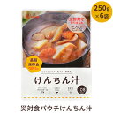 19位! 口コミ数「0件」評価「0」非常食 5年保存 災害食パウチけんちん汁 250g×6袋 保存食 防災食 防災セット 防災食セット長期保存 備蓄食 食事 食べ物 登山 キャ･･･ 