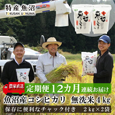 【ふるさと納税】農家直送！ 魚沼産 コシヒカリ 無洗米 4kg (スタンドパック 2kg × 2個 ) 12ヶ月 連続お届け （ 米 定期便 こしひかり お米 こめ コメ 魚沼産コシヒカリ 魚沼 新潟 おこめ 白米 精米 新潟 定期 お楽しみ 12回 ）　定期便・ 新潟県 魚沼市のサムネイル