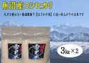 【ふるさと納税】【令和7年産 新米先行受付】生産者直送!魚沼産コシヒカリ 雪里米(ふるさとまい)精米 6kg(3kg×2) お米 ライス ご飯 主食 新潟県産 産地直送 お届け:2025年10月上旬より順次出荷