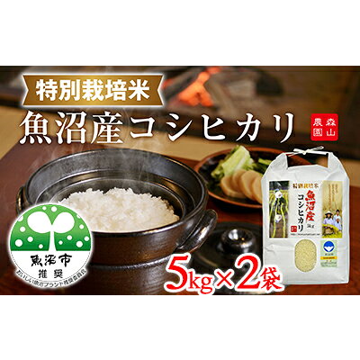 【ふるさと納税】令和8年産 先行受付 森山農園 特別栽培米 魚沼産コシヒカリ（新潟県認証）10kg（5kg×2） お米 　お届け：9月下旬より順次発送
