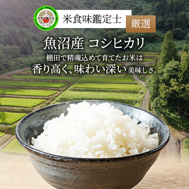 【ふるさと納税】【令和8年産 新米先行受付】【無洗米】「米食味鑑定士 厳選」魚沼産コシヒカリ 6kg（3kg×2袋）米 こめ お米 コメ こしひかり 新潟県 魚沼市 魚沼 ライス ご飯 主食 新潟県産 産地直送 時短 　お届け：2026年10月上旬より順次出荷いたします。 f152251-uonumashi-10000506 新潟県魚沼市 ふるさと納税 サンプル画像2