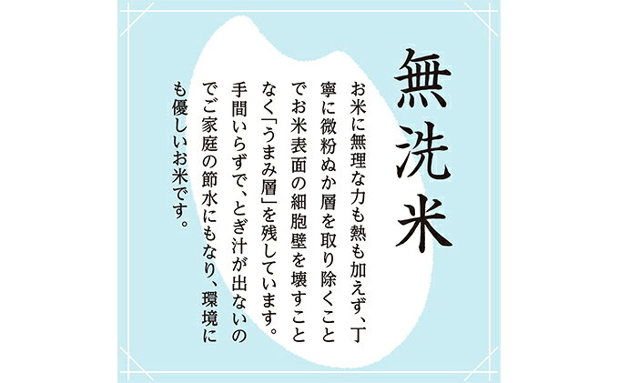 【ふるさと納税】【令和8年産 新米先行受付】雪室貯蔵 魚沼産コシヒカリ無洗米5kg（2.5kg×2） お米 ライス ご飯 主食 新潟県産 産地直送 時短 　お届け：11月上旬より順次出荷