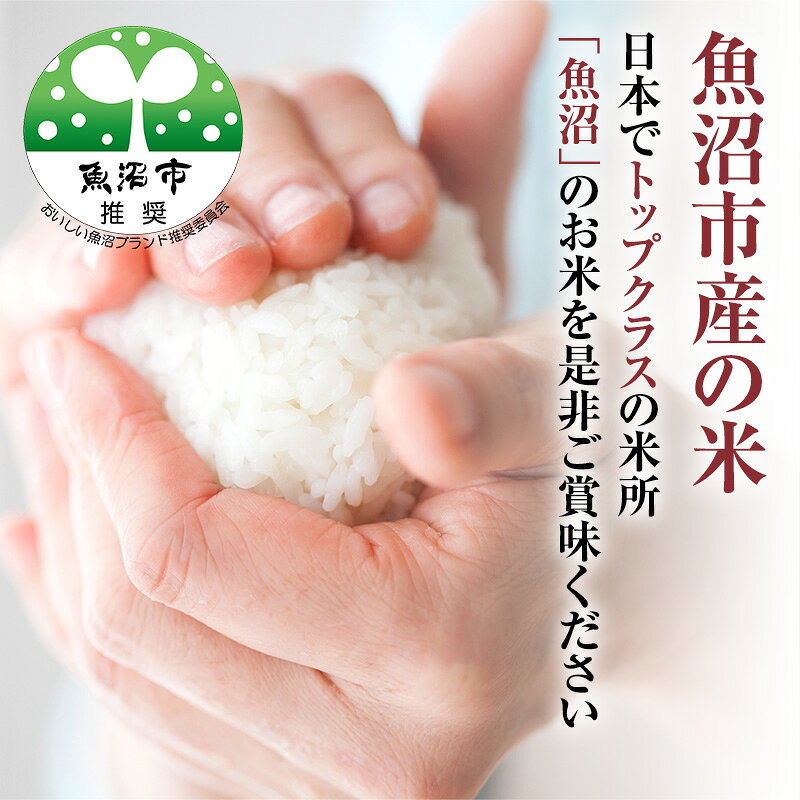 【ふるさと納税】【令和7年産 新米先行受付】米農家自慢の 魚沼産 コシヒカリ （精米）5kg×1袋 お米 ライス ご飯 主食 新潟県産 産地直送 おにぎり お弁当 　お届け：2026年10月より順次出荷